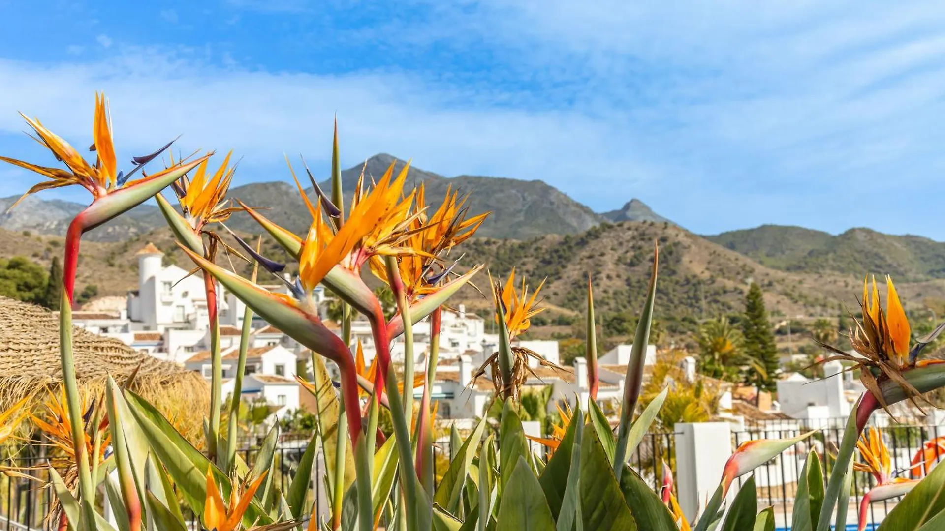 Las Palmas 9A - Oasis Properties Nerja