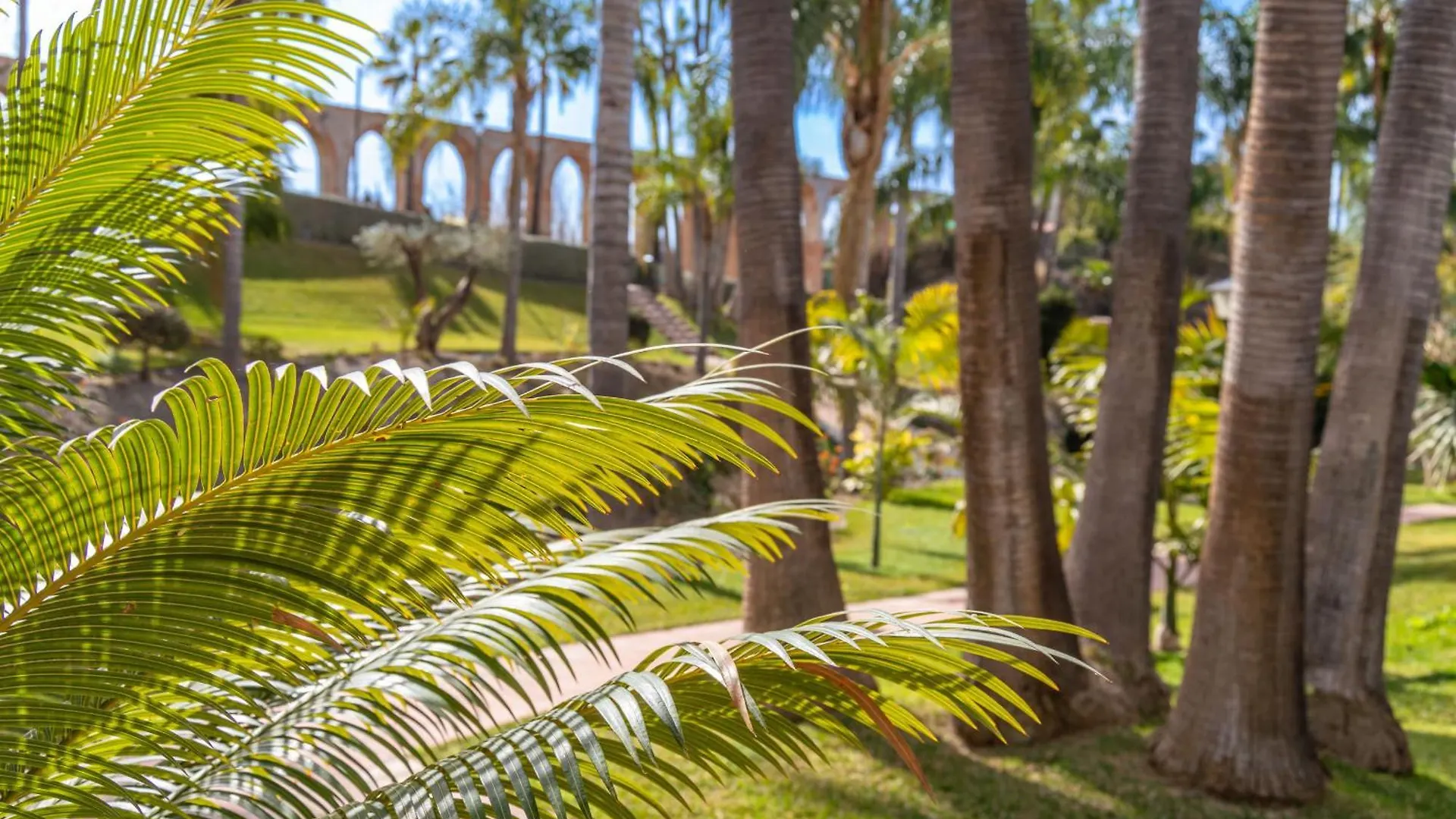 Apartment Las Palmas 9A - Oasis Properties Nerja