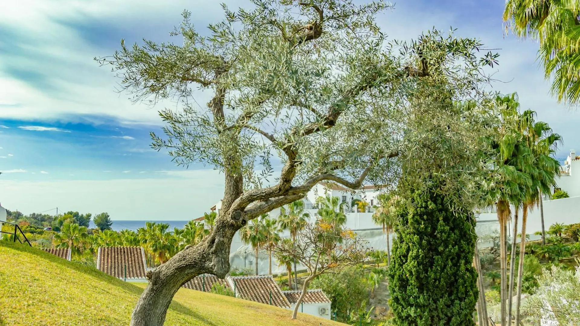Las Palmas 9A - Oasis Properties Nerja Spain