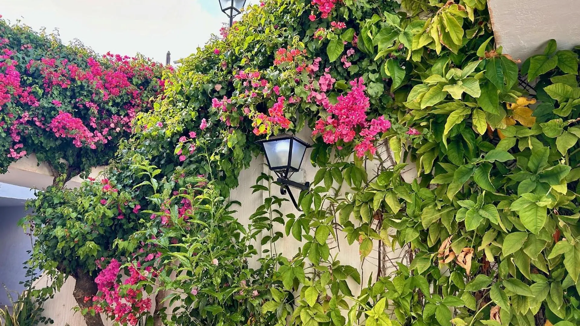 Apartment Las Palmas 9A - Oasis Properties Nerja