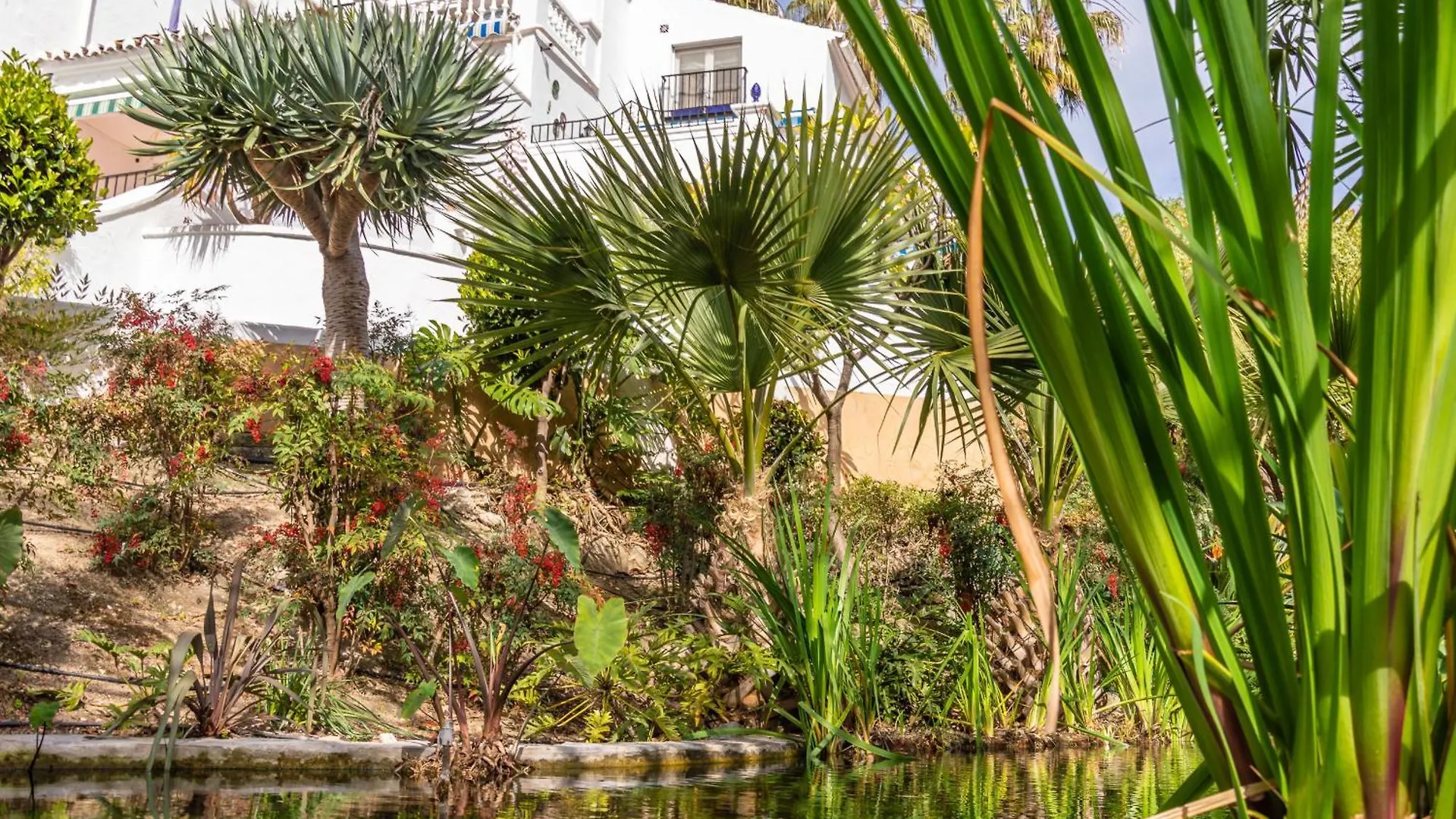 Las Palmas 9A - Oasis Properties Nerja Spain